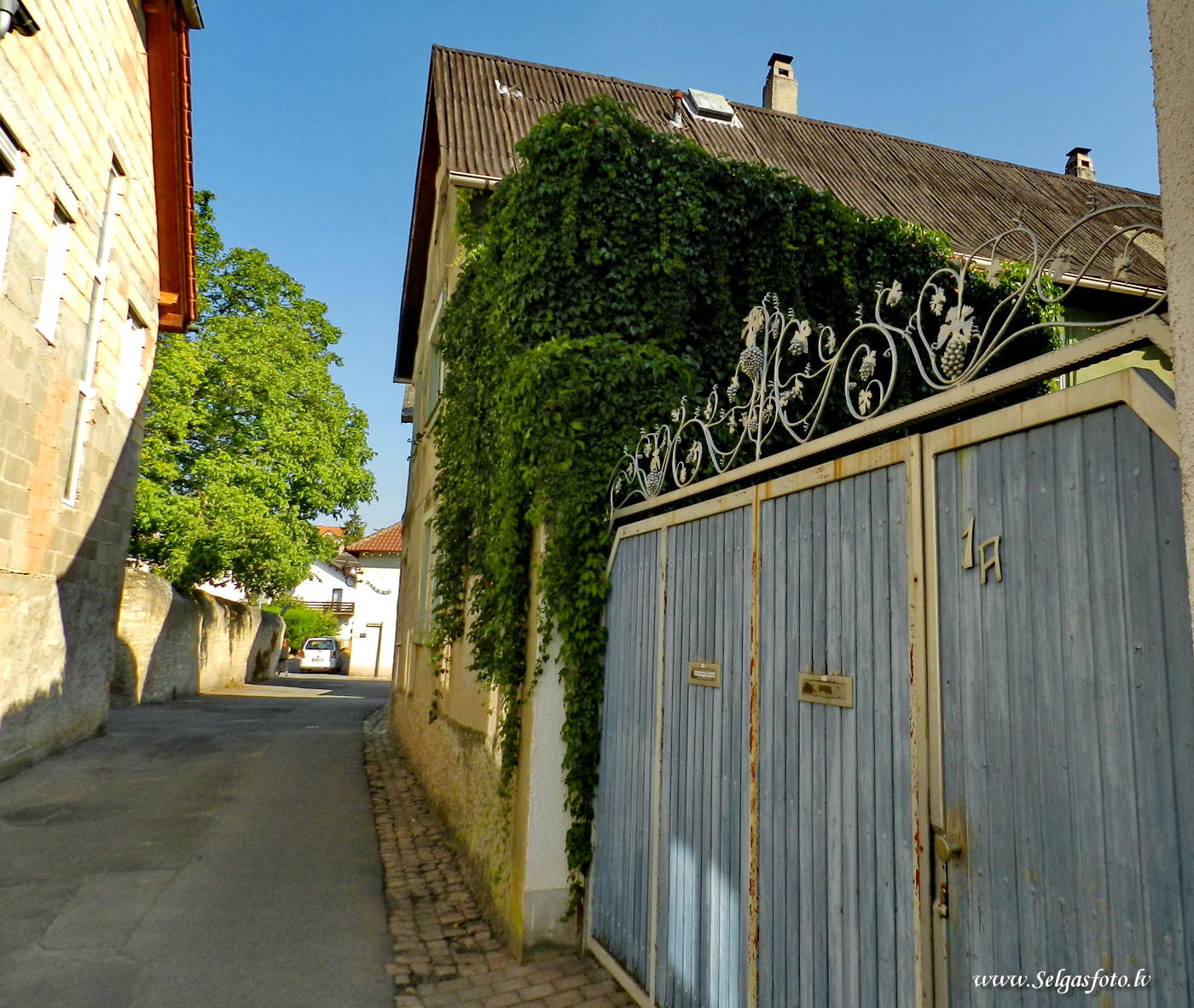 Partenheim. Deutschland.