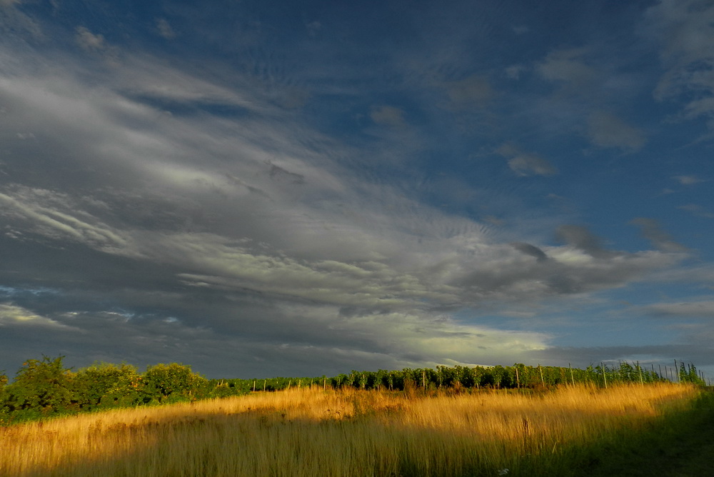 Partenheim. Deutschland.
