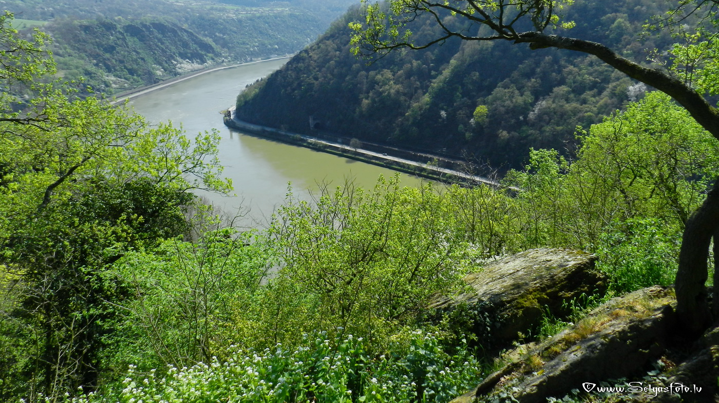 Rheinfahrt. Loreley.