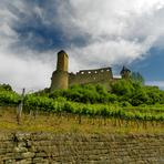 Burg Hornberg. Neckar. De.