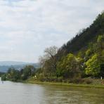 Rheinfahrt. Rhein.