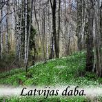 Latvijas daba.