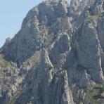 ALPU KALNI. Bischofsmütze. 