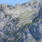 ALPU KALNI. Bischofsmütze. 