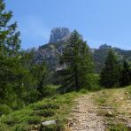 ALPU KALNI. Bischofsmütze. 