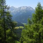 ALPU KALNI. Bischofsmütze. 