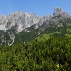 ALPU KALNI. Bischofsmütze. 