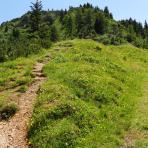 ALPU KALNI. Bischofsmütze. 