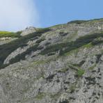 ALPU KALNI. Bischofsmütze. 