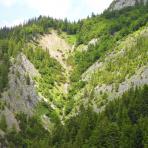 ALPU KALNI. Bischofsmütze. 