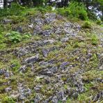 ALPU KALNI. Bischofsmütze. 