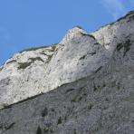 ALPU KALNI. Bischofsmütze. 