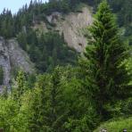 ALPU KALNI. Bischofsmütze. 