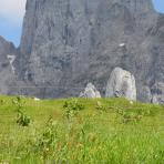 ALPU KALNI. Bischofsmütze. 