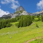 ALPU KALNI. Bischofsmütze. 