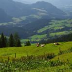 ALPU KALNI. Bischofsmütze. 