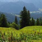 ALPU KALNI. Bischofsmütze. 