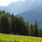 ALPU KALNI. Bischofsmütze. 