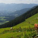 ALPU KALNI. Bischofsmütze. 