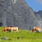 ALPU KALNI. Bischofsmütze. 