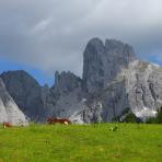 ALPU KALNI. Bischofsmütze. 