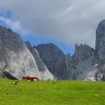 ALPU KALNI. Bischofsmütze. 
