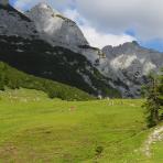 ALPU KALNI. Bischofsmütze. 