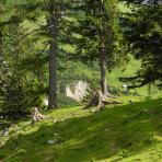 ALPU KALNI. Bischofsmütze. 