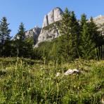 ALPU KALNI. Bischofsmütze. 