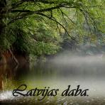 Latvijas ainavas. DABA. Flora.